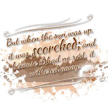 Mark 4:6 – But when the sun was up, it was scorched; and because it had no root, it withered away.