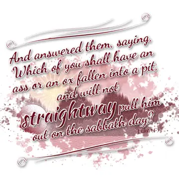 Luke 14:5 – And answered them, saying, Which of you shall have an ass or an ox fallen into a pit, and will not straightway pull him out on the sabbath day?