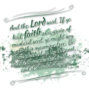 Luke 17:6 – And the Lord said, If ye had faith as a grain of mustard seed, ye might say unto this sycamine tree, Be thou plucked up by the root, and be thou…