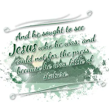 Luke 19:3 – And he sought to see Jesus who he was; and could not for the press, because he was little of stature.