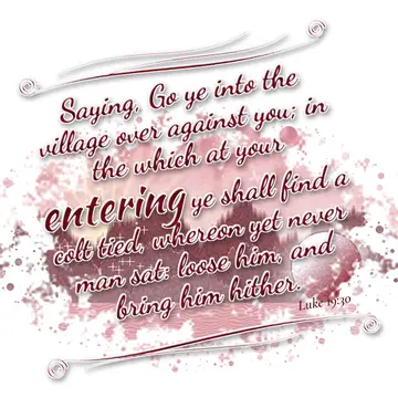 Luke 19:30 – Saying, Go ye into the village over against you; in the which at your entering ye shall find a colt tied, whereon yet never man sat: loose him, and…