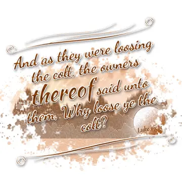 Luke 19:33 – And as they were loosing the colt, the owners thereof said unto them, Why loose ye the colt?