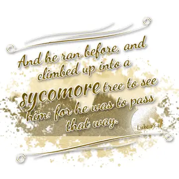 Luke 19:4 – And he ran before, and climbed up into a sycomore tree to see him: for he was to pass that way.