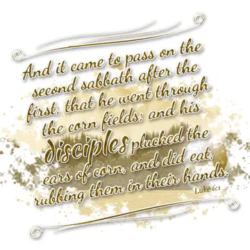 Luke 6:1 – And it came to pass on the second sabbath after the first, that he went through the corn fields; and his disciples plucked the ears of…