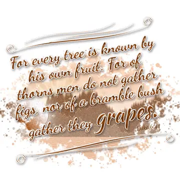 Luke 6:44 – For every tree is known by his own fruit. For of thorns men do not gather figs, nor of a bramble bush gather they grapes.