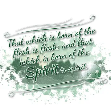 John 3:6 – That which is born of the flesh is flesh; and that which is born of the Spirit is spirit.