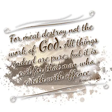 Romans 14:20 – For meat destroy not the work of God. All things indeed are pure; but it is evil for that man who eateth with offence.