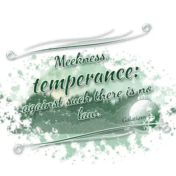 Galatians 5:23 – Meekness, temperance: against such there is no law.