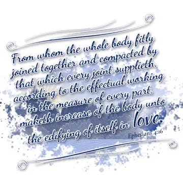 Ephesians 4:16 – From whom the whole body fitly joined together and compacted by that which every joint supplieth, according to the effectual working in the measure…