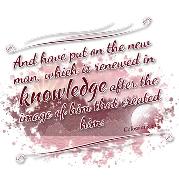Colossians 3:10 – And have put on the new man, which is renewed in knowledge after the image of him that created him: