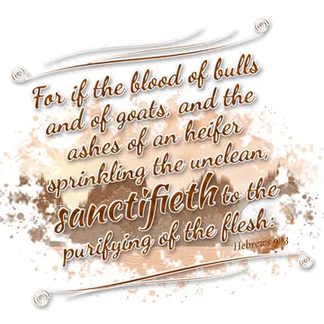 Hebrews 9:13 – For if the blood of bulls and of goats, and the ashes of an heifer sprinkling the unclean, sanctifieth to the purifying of the flesh: