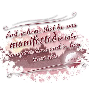 1 John 3:5 – And ye know that he was manifested to take away our sins; and in him is no sin.
